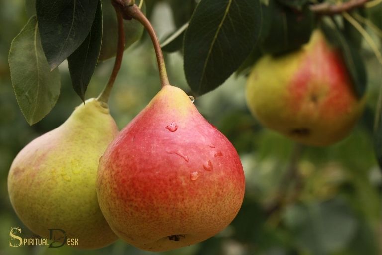 what is the spiritual meaning of pear