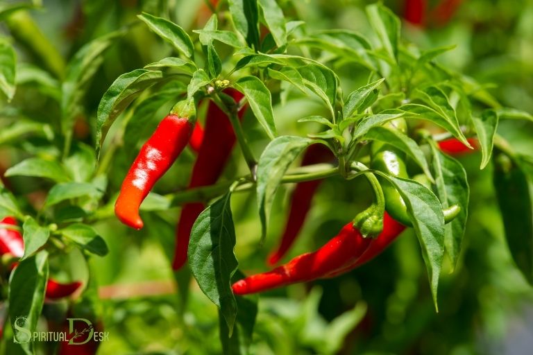 what is the spiritual meaning of pepper