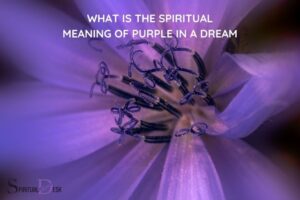 What is the Spiritual Meaning of Purple in a Dream? Growth!