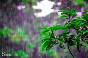 What is the Spiritual Meaning of Rain? Cleansing