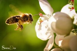 Seeing a Bee Spiritual Meaning