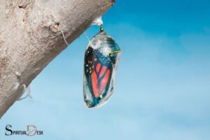 Seeing a Cocoon Spiritual Meaning: Self-Discovery!