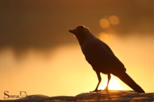 Seeing a Crow Spiritual Meaning: Transformation!