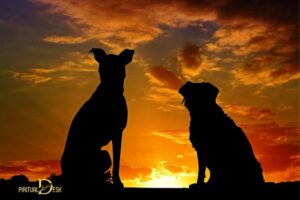 Seeing a Dog Spiritual Meaning: Loyalty, Protection!