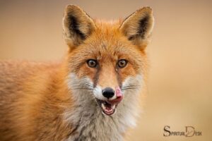 Seeing a Fox During the Day Spiritual Meaning: Cleverness!