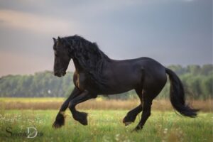 Seeing a Horse Spiritual Meaning: Power, Strength!