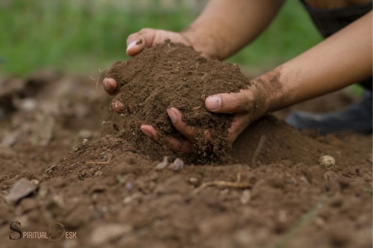 what-is-the-spiritual-meaning-of-soil-growth-grounding