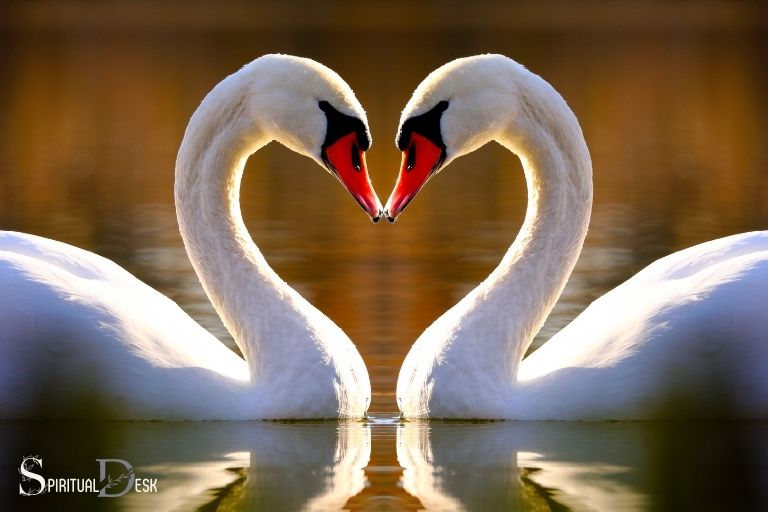 what is the spiritual meaning of swans