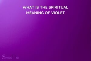 What is the Spiritual Meaning of Violet? Wisdom, Intuition!