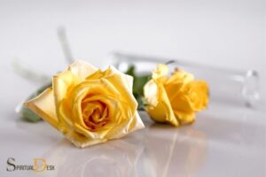 What is the Spiritual Meaning of Yellow Roses? Happiness!