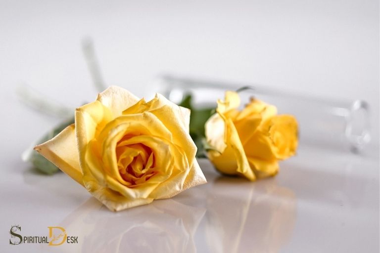what is the spiritual meaning of yellow roses