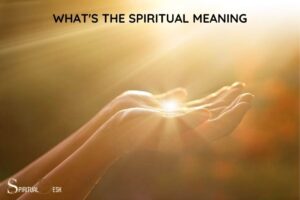 What’s the Spiritual Meaning? A Guide!