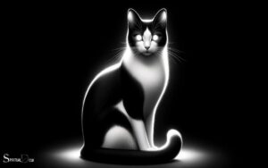 Seeing a Black And White Cat Spiritual Meaning: Balance!