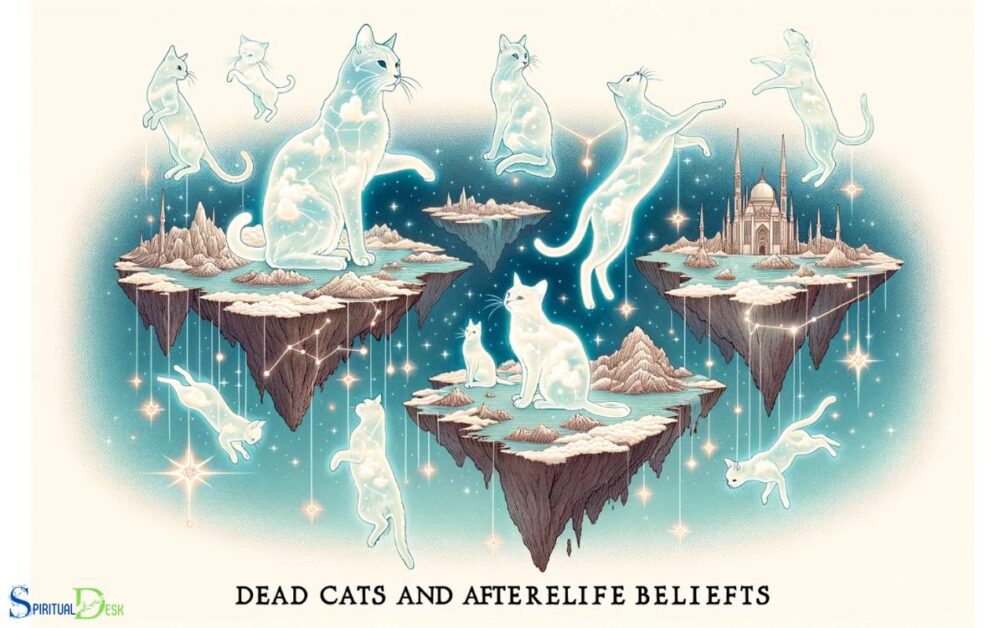 Dead Cats and Afterlife Beliefs