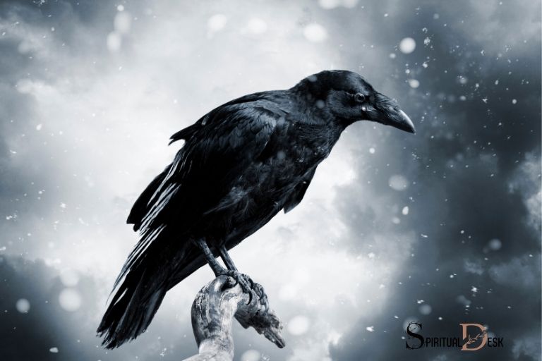 Seeing a Raven Spiritual Meaning