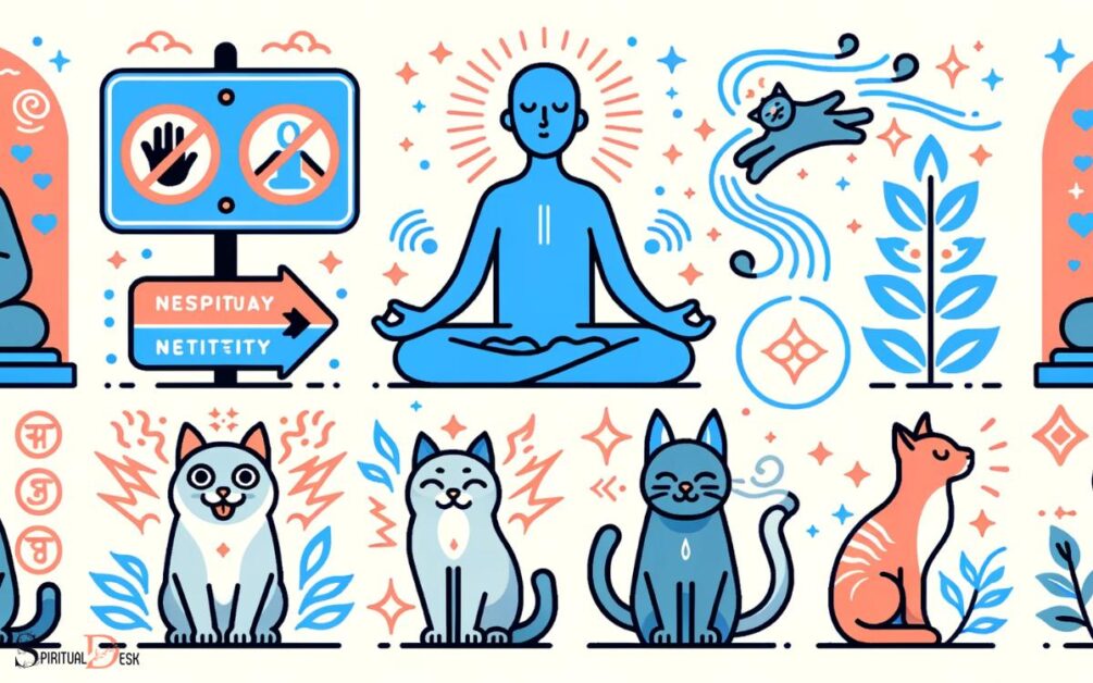 Signs That Cats Are Attracted To Your Spiritual Energy