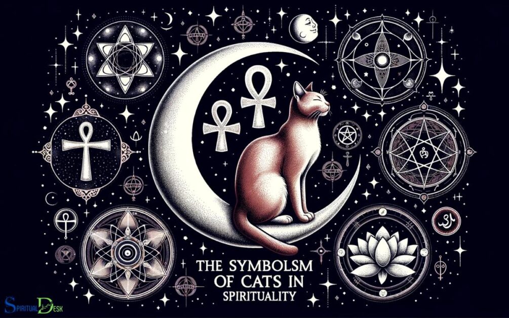 The Symbolism of Cats in Spirituality