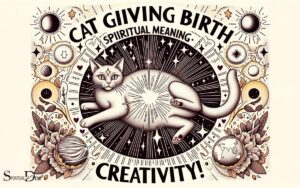 Cat Giving Birth Spiritual Meaning: Fertility!