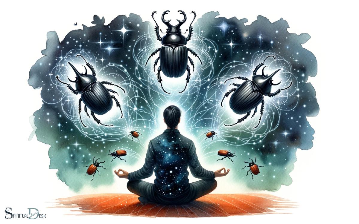 Connecting With The Spiritual Energy Of Black Beetles