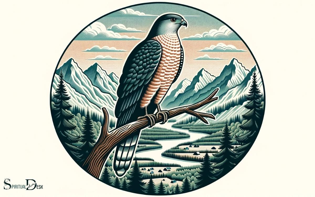 Coopers Hawk Spiritual Meaning