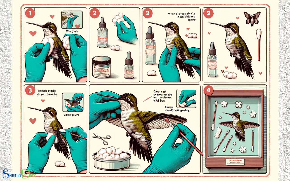 How to Preserve a Dead Hummingbird