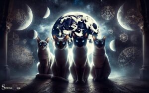 Seeing Cats Spiritual Meaning: Power, Mystery!