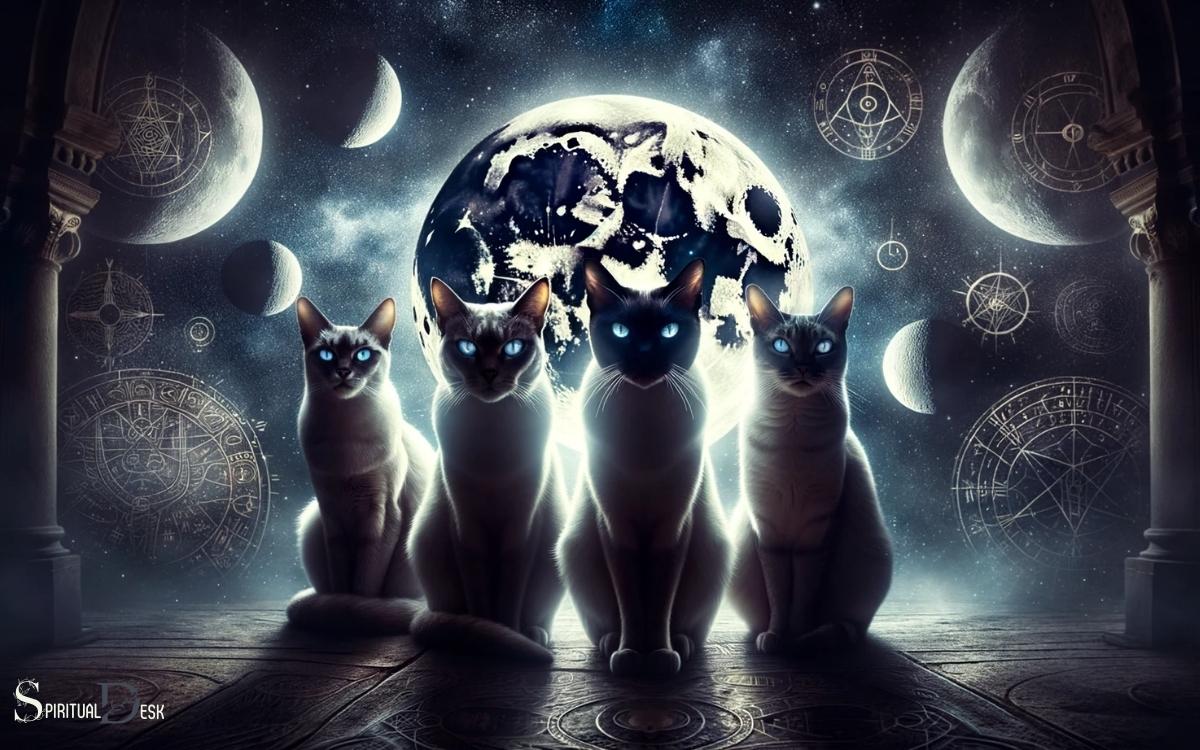 Seeing Cats Spiritual Meaning