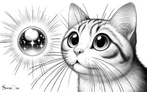 Can Cats Sense Spiritual Energy? Yes!