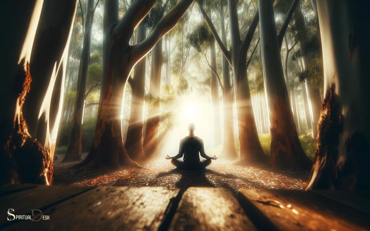 Eucalyptus And Meditation Deepening Spiritual Connection