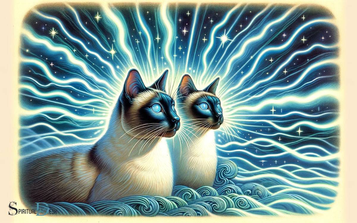 Siamese-Cats-As-Sensitive-Energy-Detectors