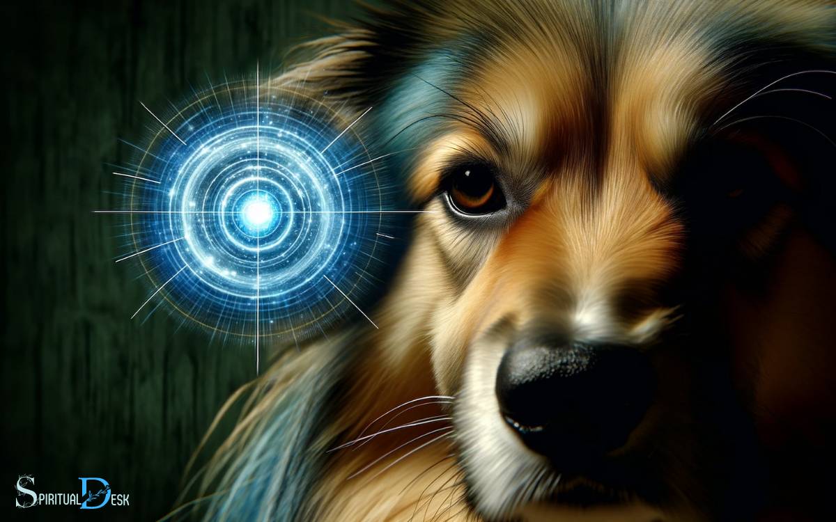 Energy-Sensitivity-in-Dogs