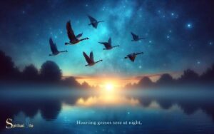 Hearing-Geese-at-Night-Spiritual-Meaning