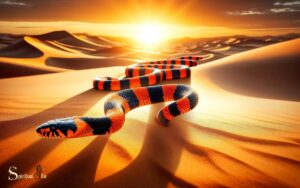 Orange-and-Black-Snake-Spiritual-Meaning